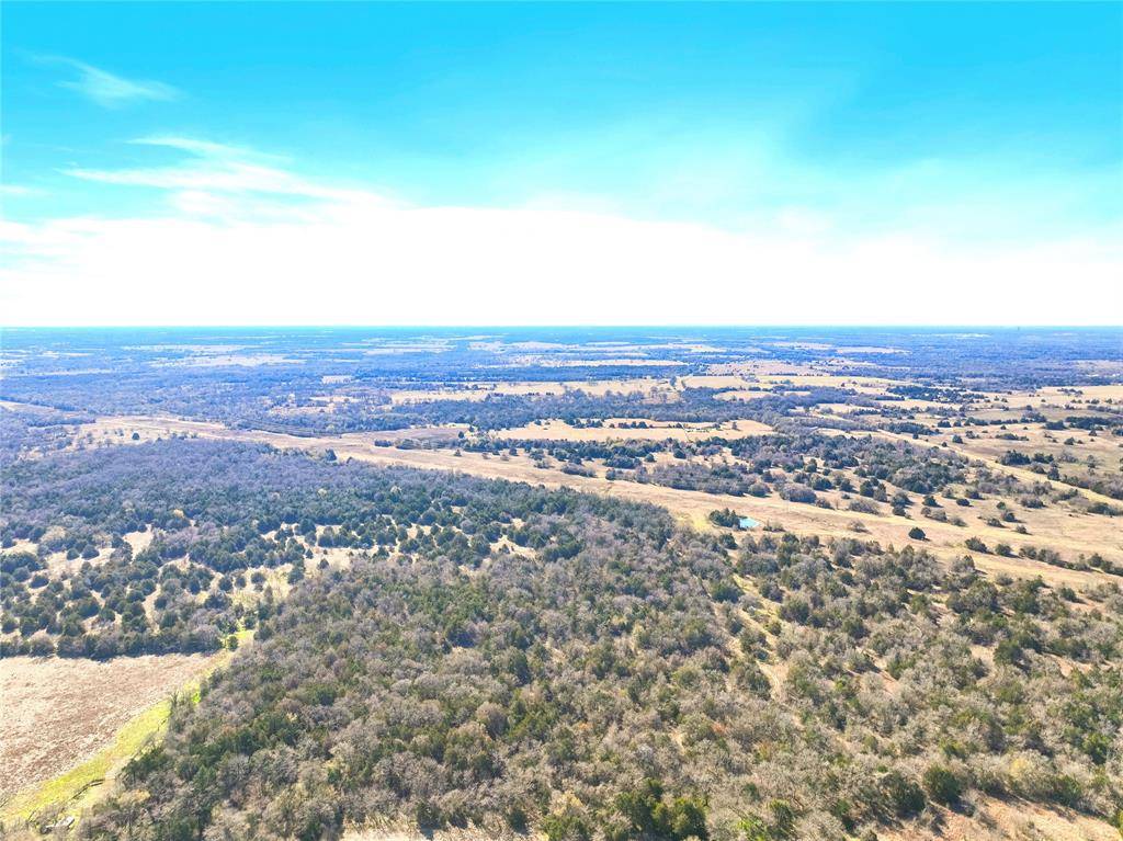 Wortham, TX 76693,Tract 3 Fm-1366