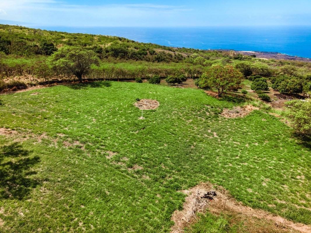 81-6460 LAUKAPALILI WY, Kealakekua, HI 96750