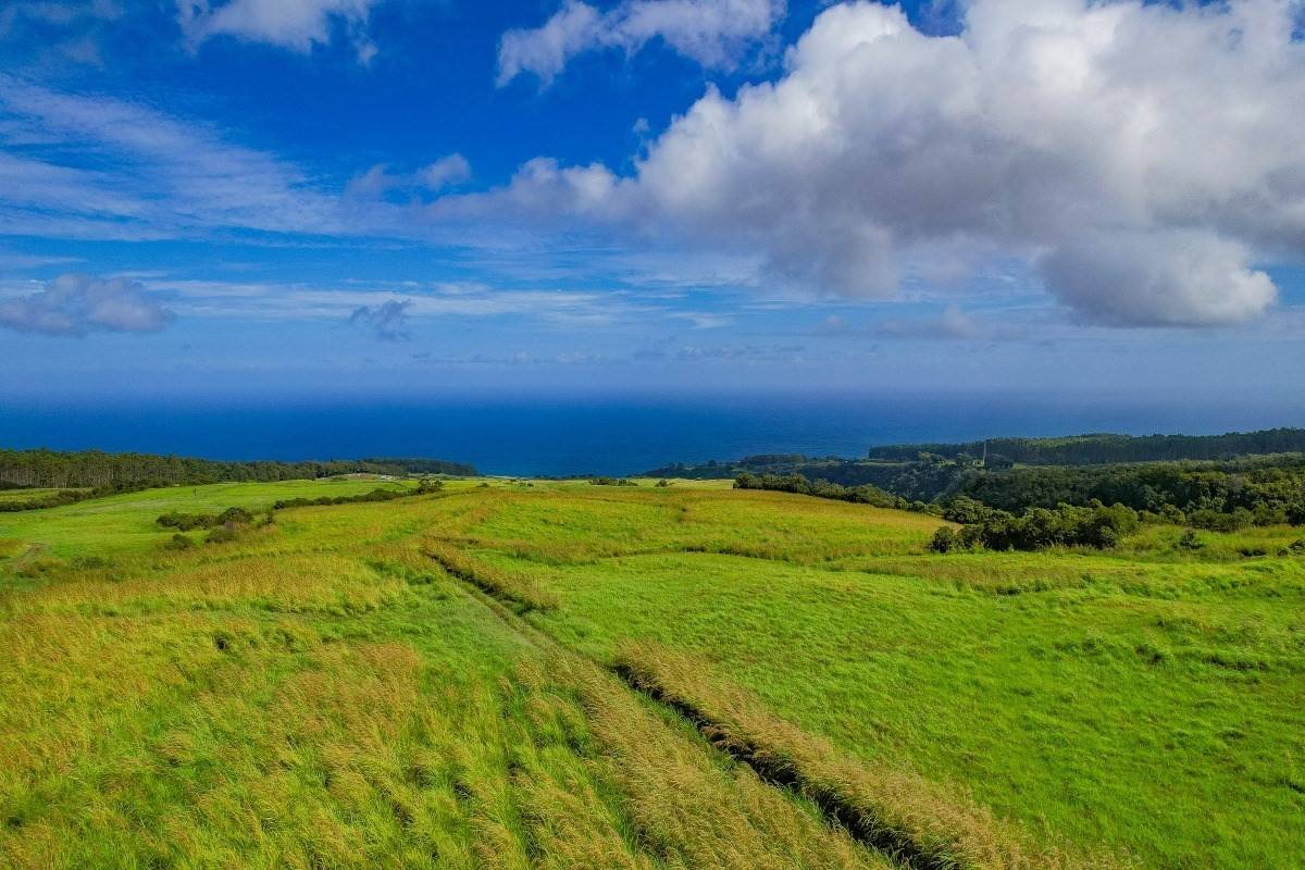34-1475 HAWAII  BELT RD, Papaaloa, HI 96780