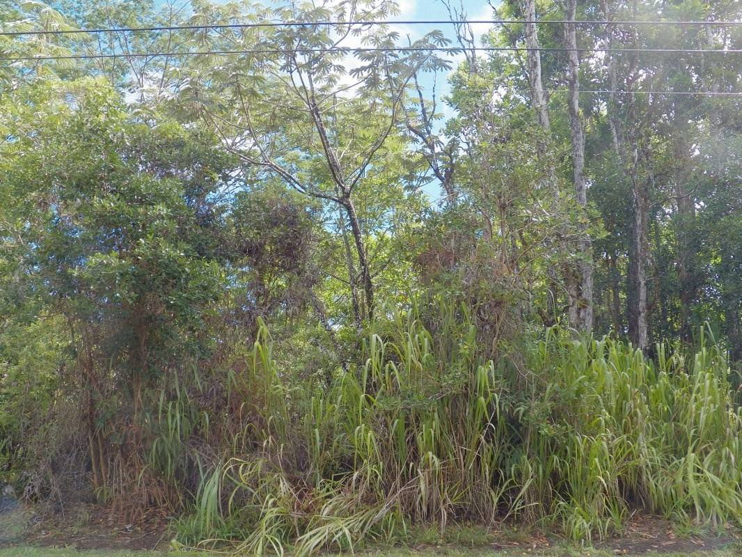 Pahoa, HI 96778,S LAI ST