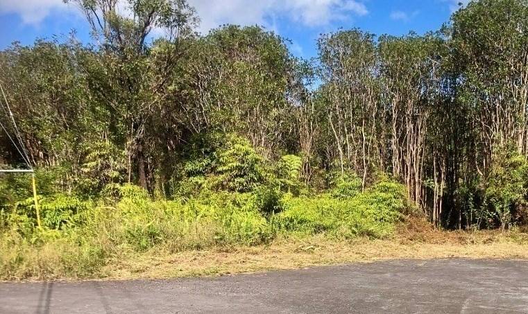 HENO ST, Mt. View, HI 96771