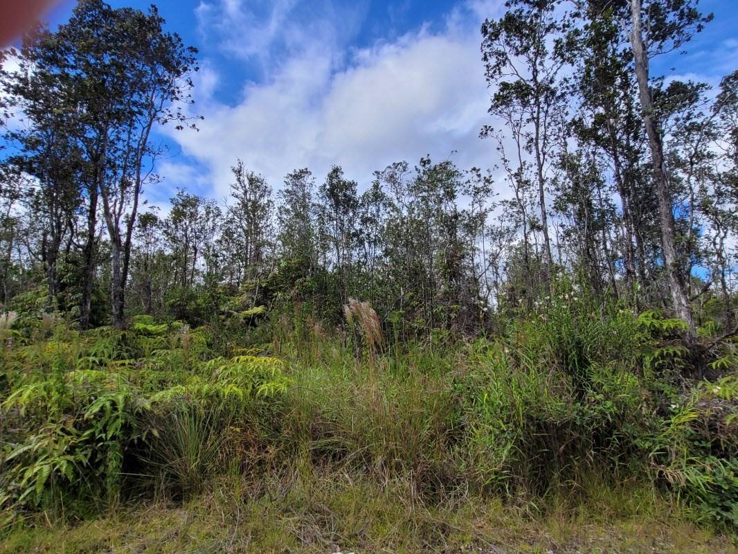 11-2998 KALEPONI RD, Volcano, HI 96785