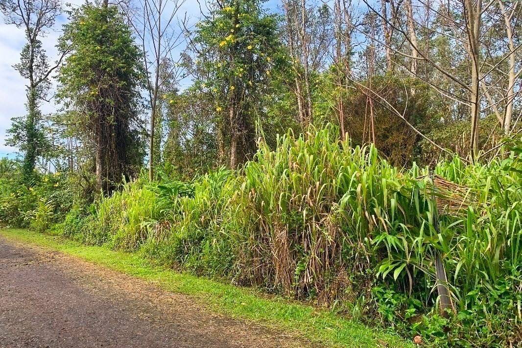 KING KAMEHAMEHA BLVD, Keaau, HI 96760