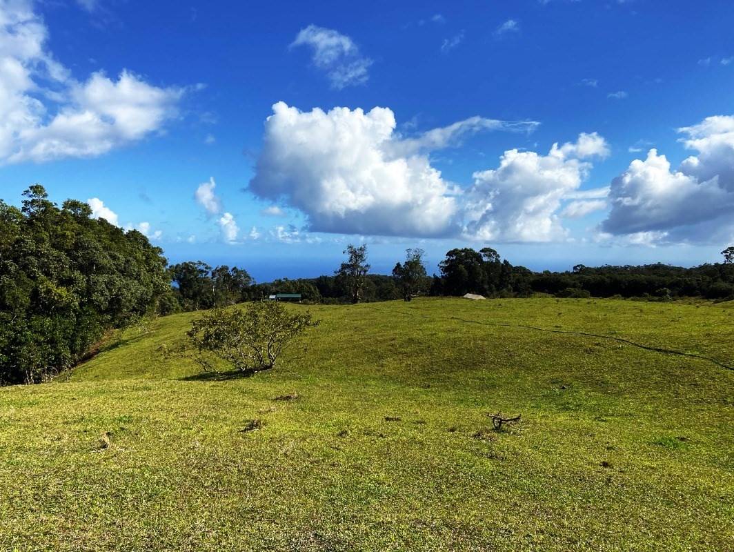 46-3663 PUAONO RD, Honokaa, HI 96727