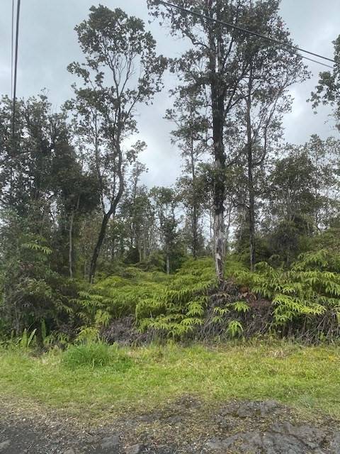 Mountain View, HI 96760,ROAD 4 (IO KEA)