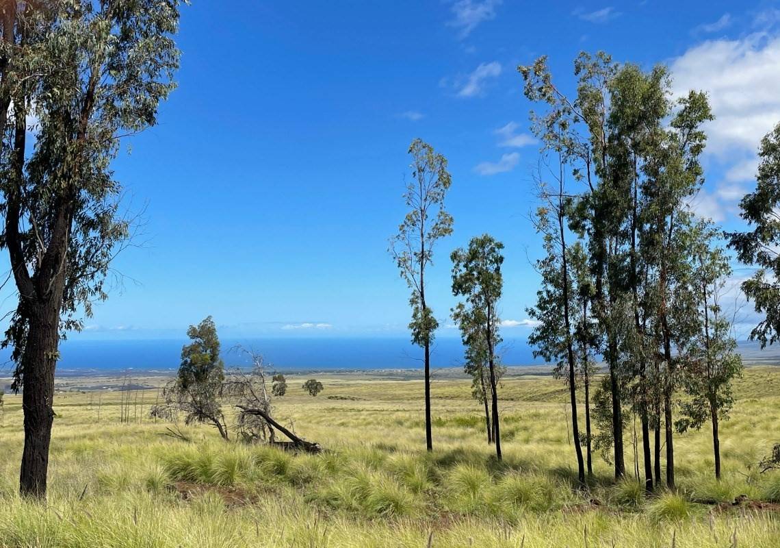 Mamaloha Highway, Kamuela, HI 96743