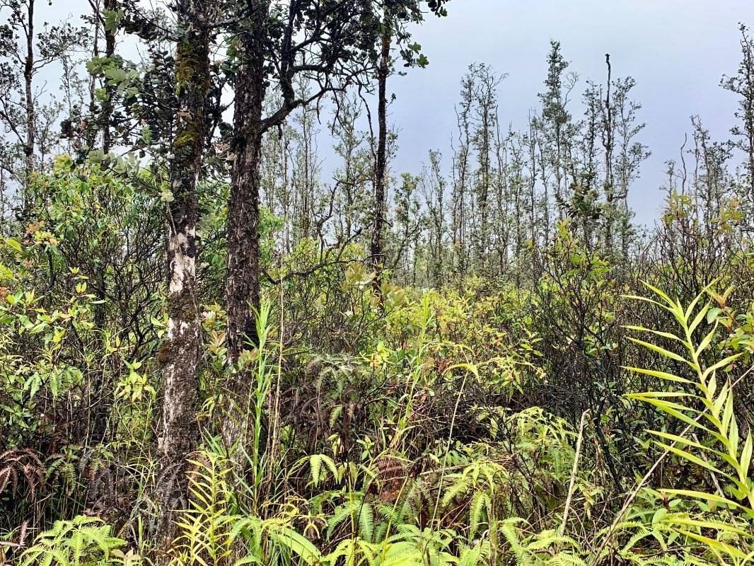 Mountain View, HI 96760,ROAD 7 (OPEAPEA)