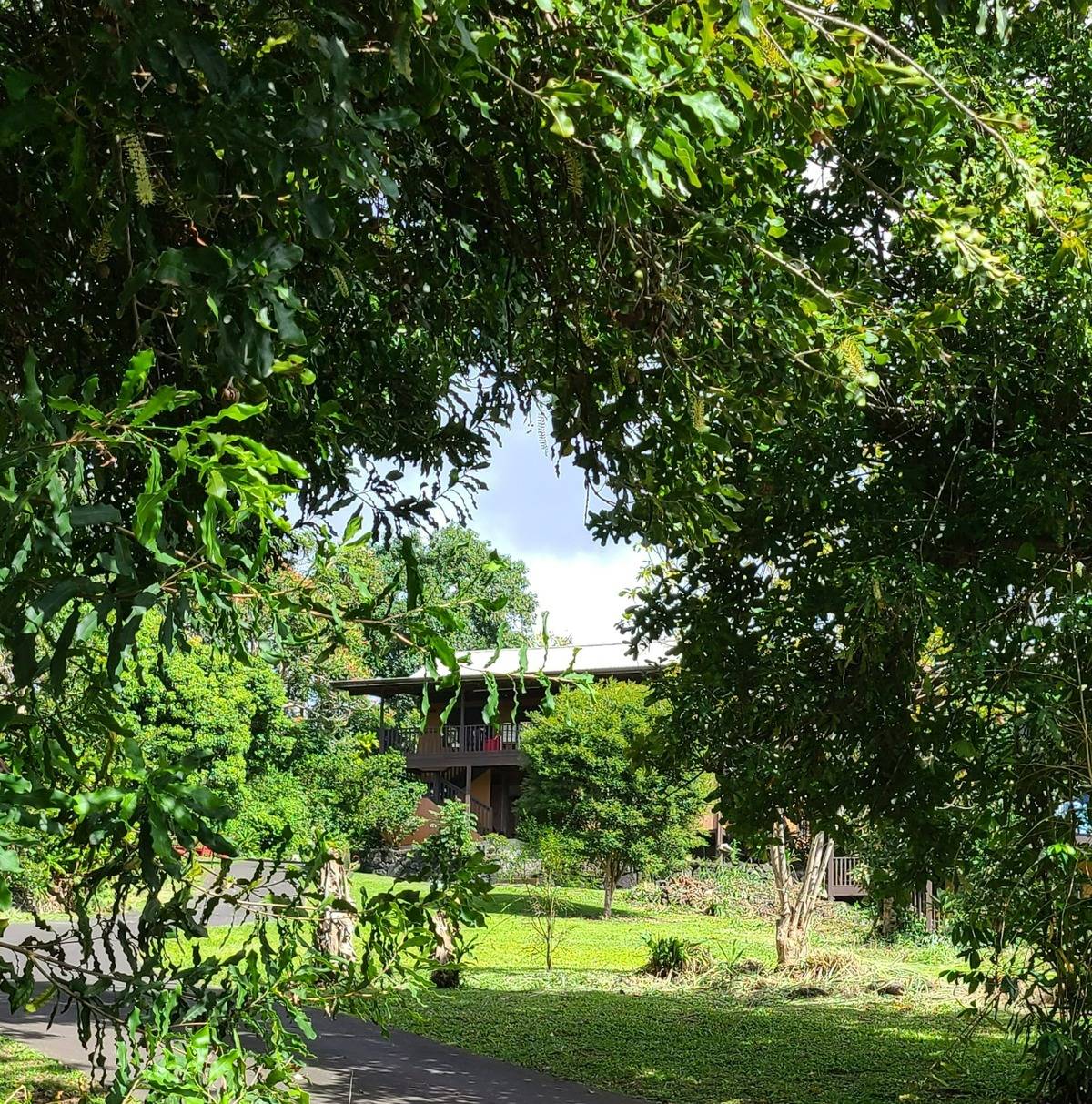 82-1162 GREENWELL MOUNTAIN RD, Captain Cook, HI 96704