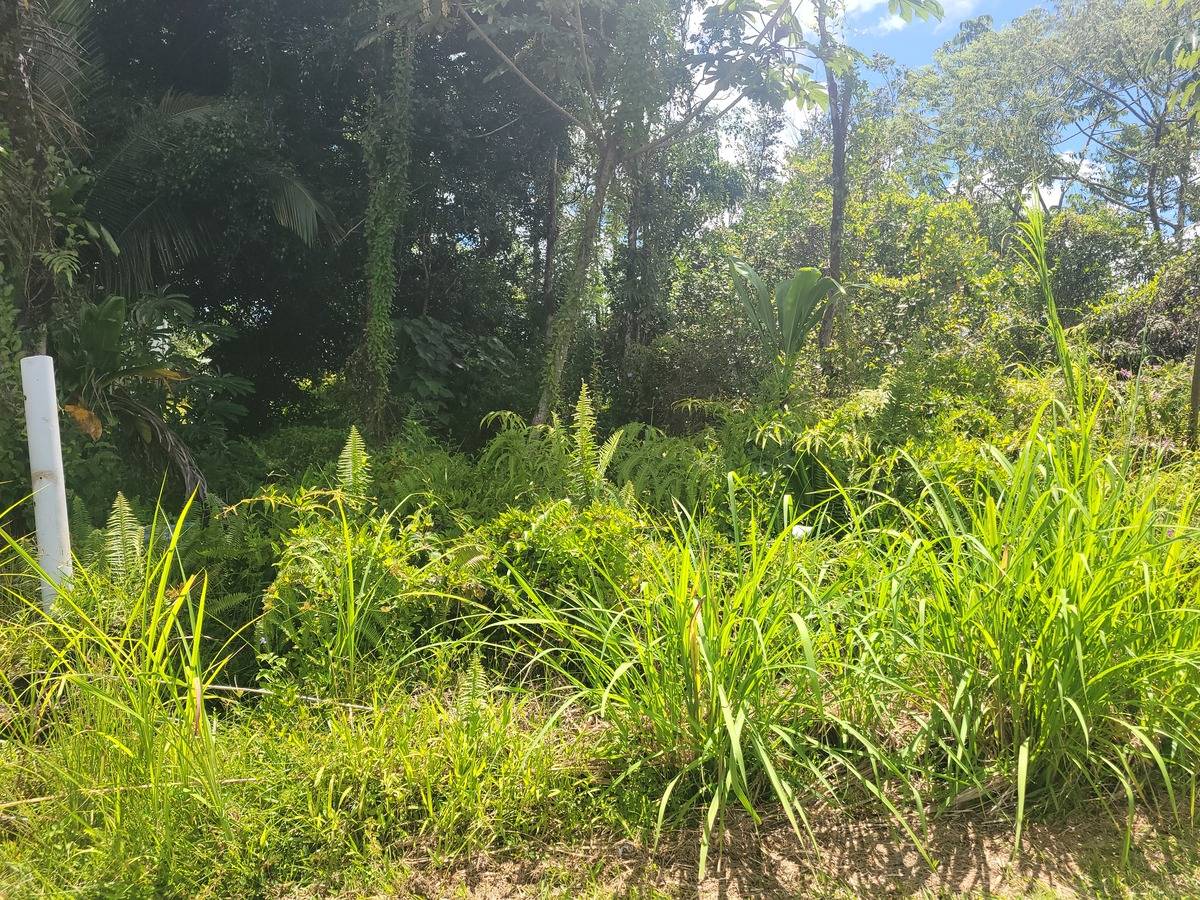 RAINBOW DR, Pahoa, HI 96778