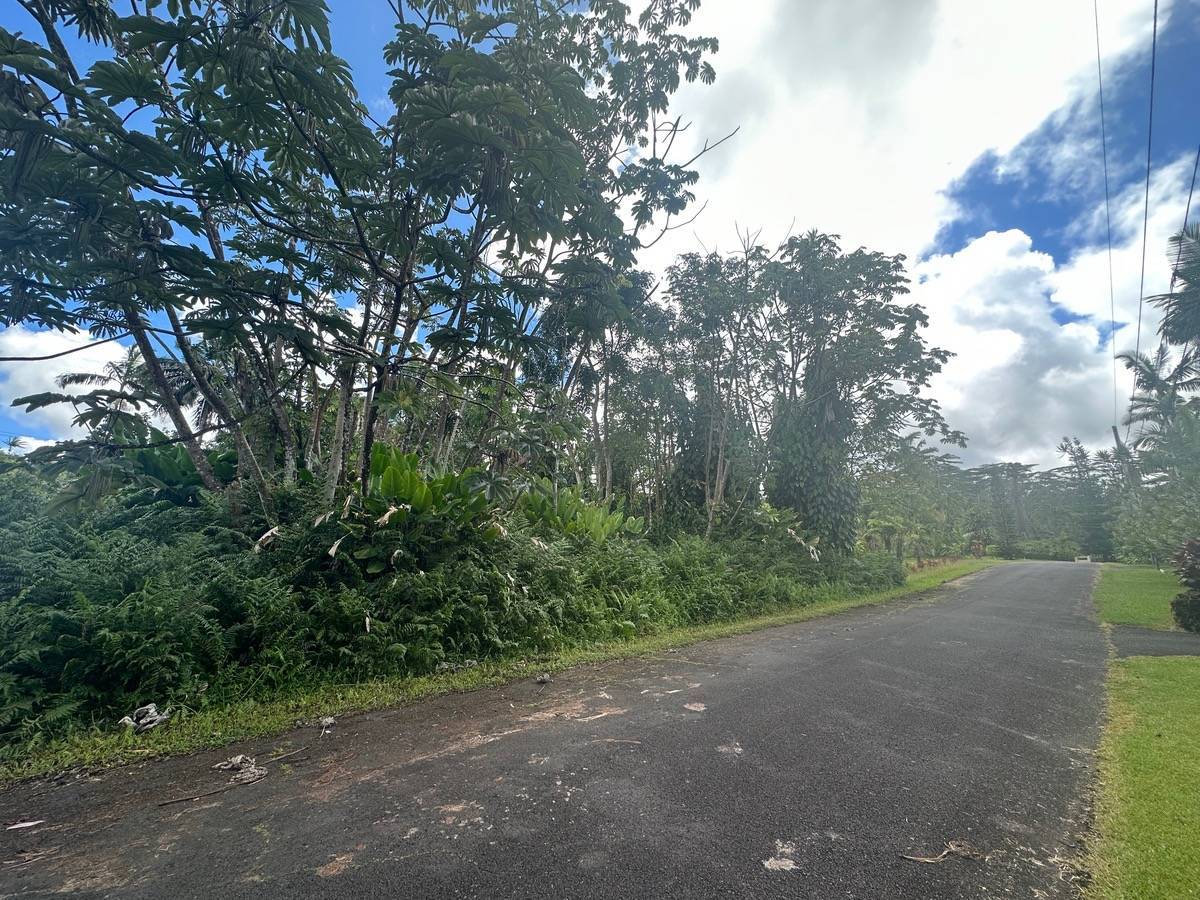Pahoa, HI 96778,DUFF LN