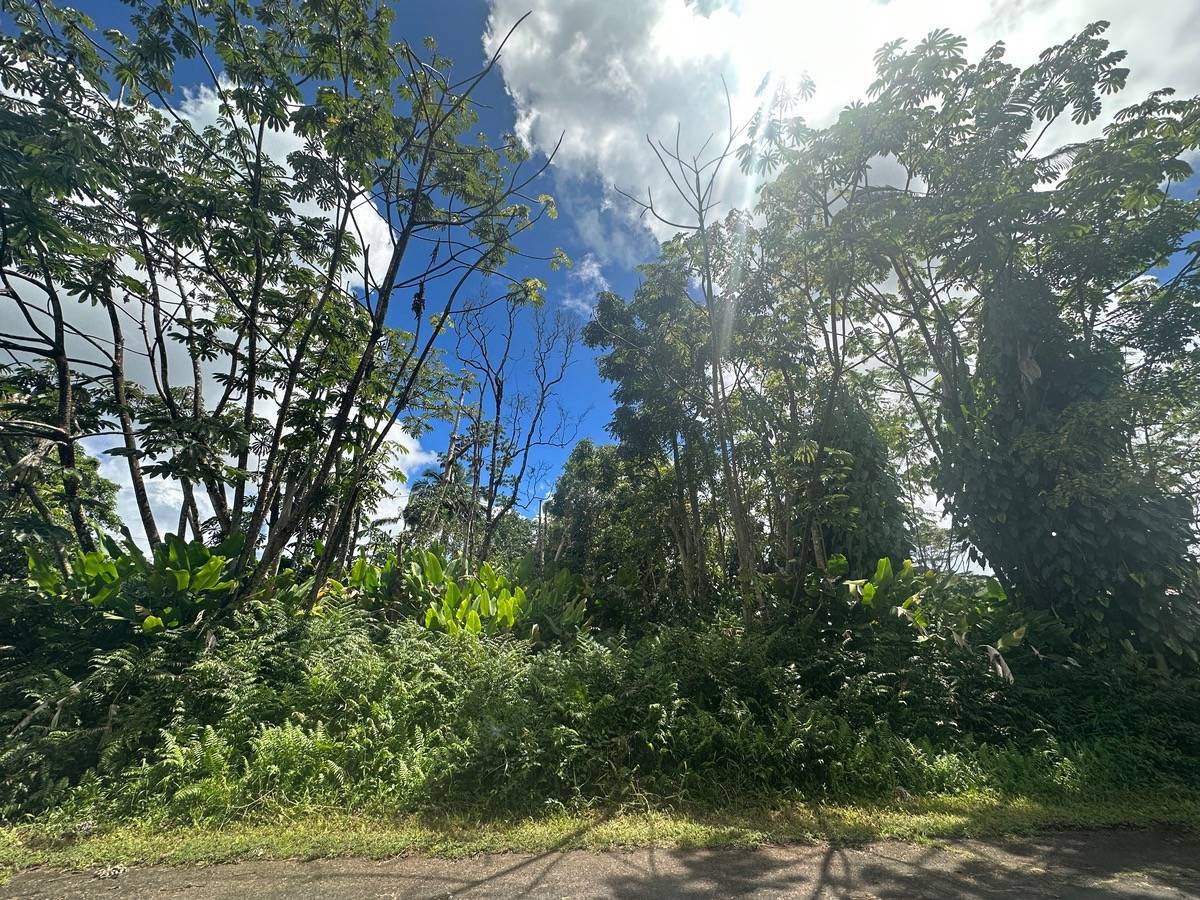Pahoa, HI 96778,DUFF LN