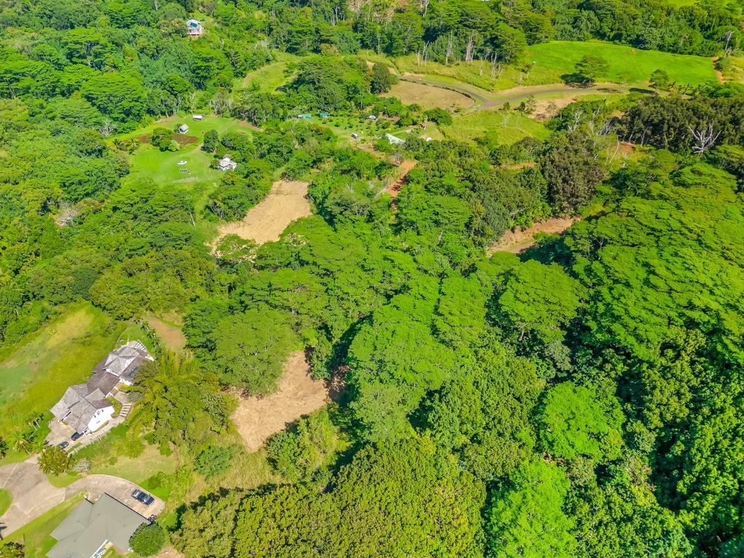 #1B, Kapaa, HI 96746