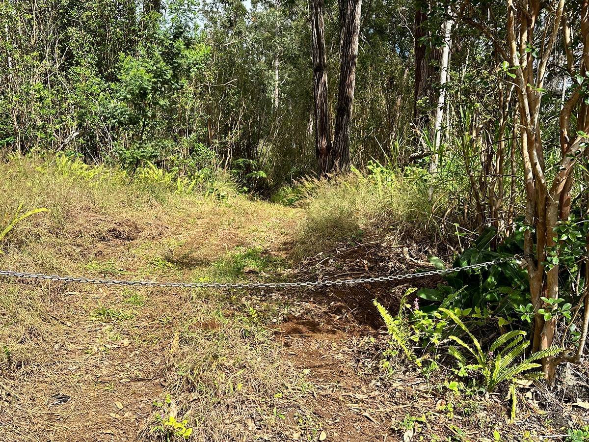 46-3970 KAHANA DR, Honokaa, HI 96727