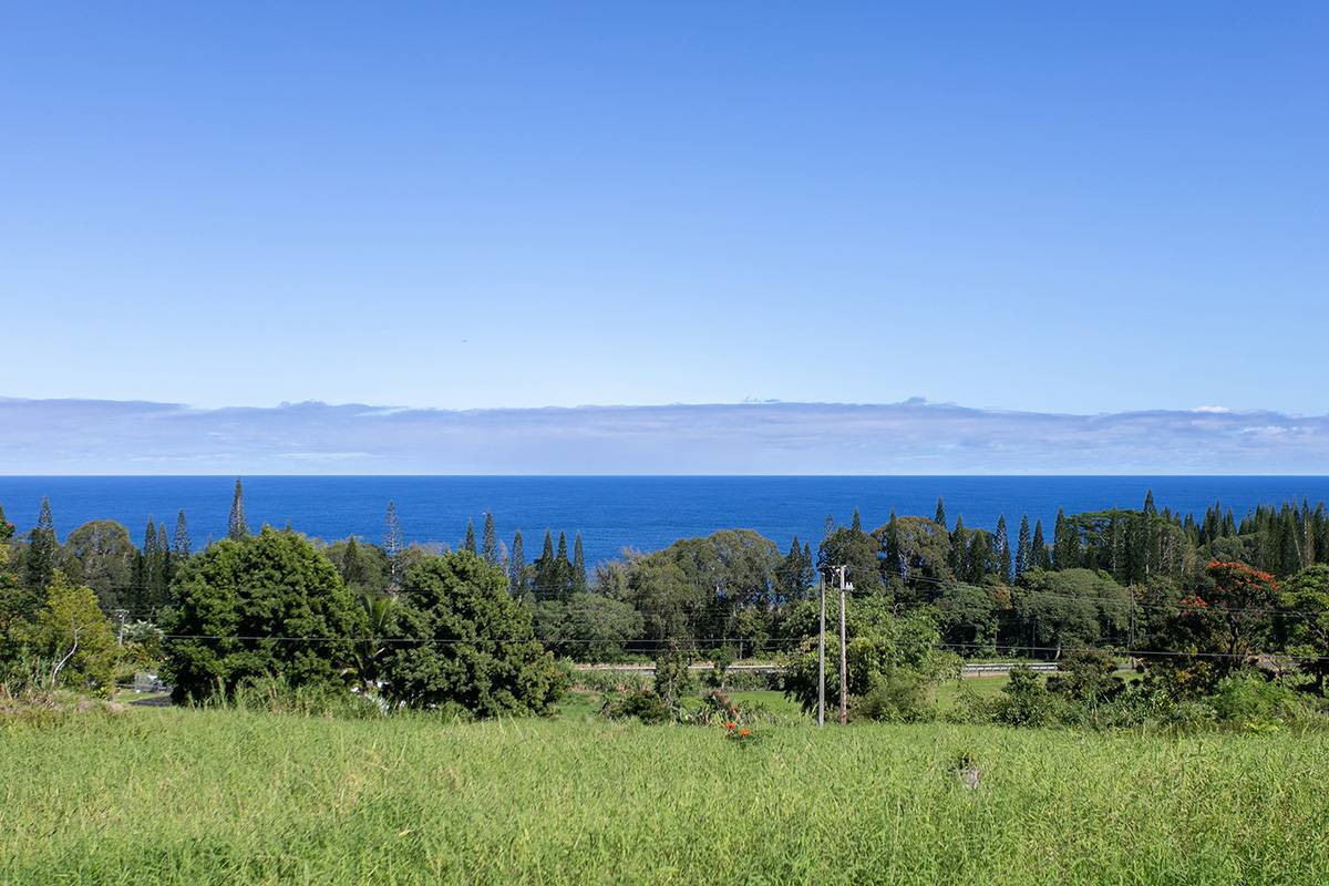 28-1813 OLD MAMALAHOA HIGHWAY, Honomu, HI 96728