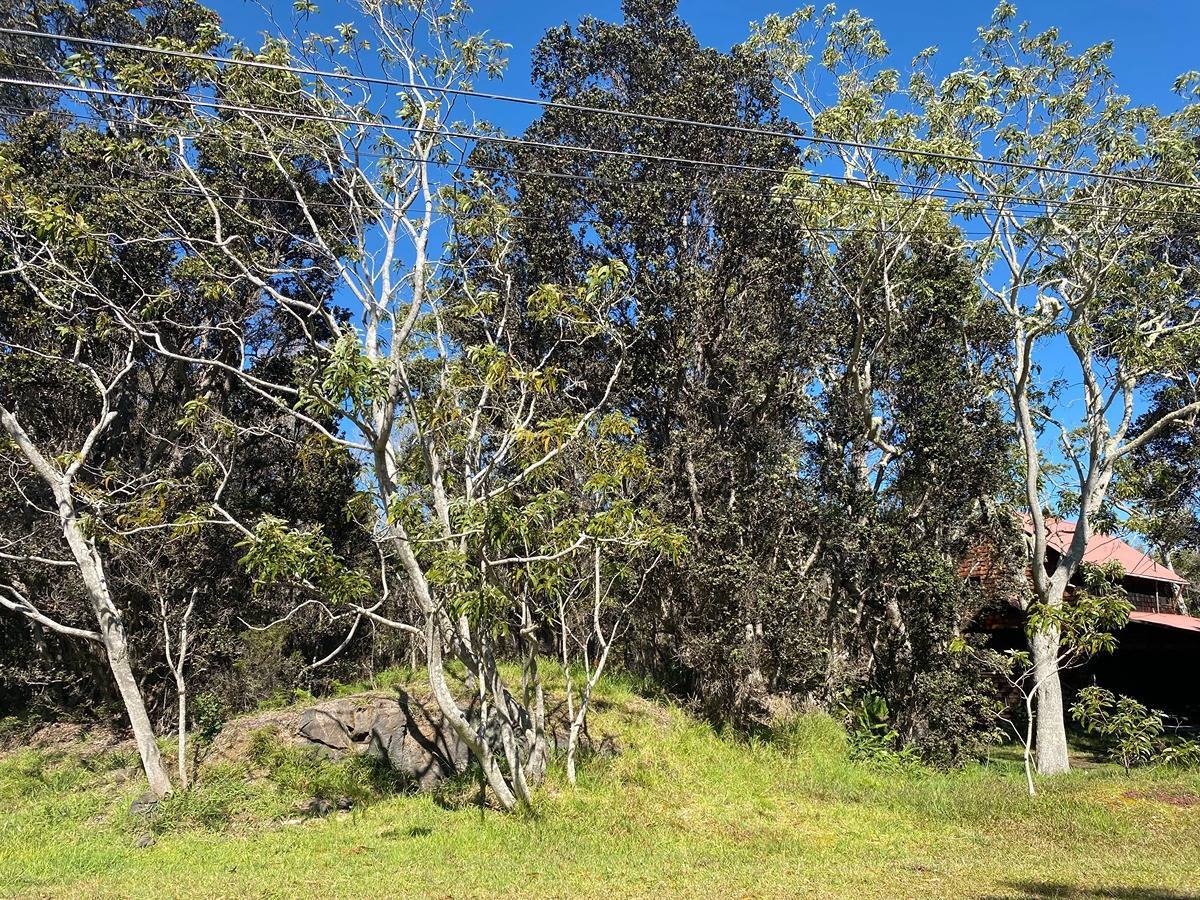 99-1898 PUKEAWE CIRCLE, Volcano, HI 96785