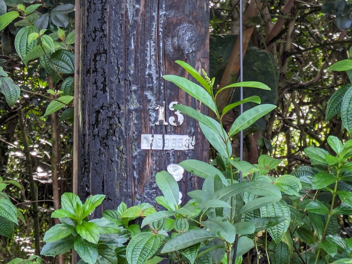 Keaau, HI 96749,722 11TH AVE