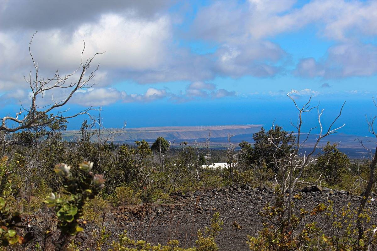 Ocean View, HI 96737,KOA LN