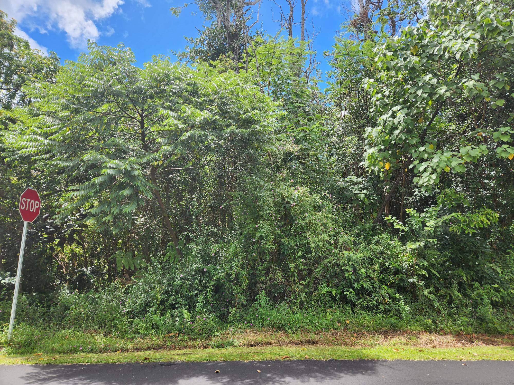 S MOKU ST, Pahoa, HI 96778