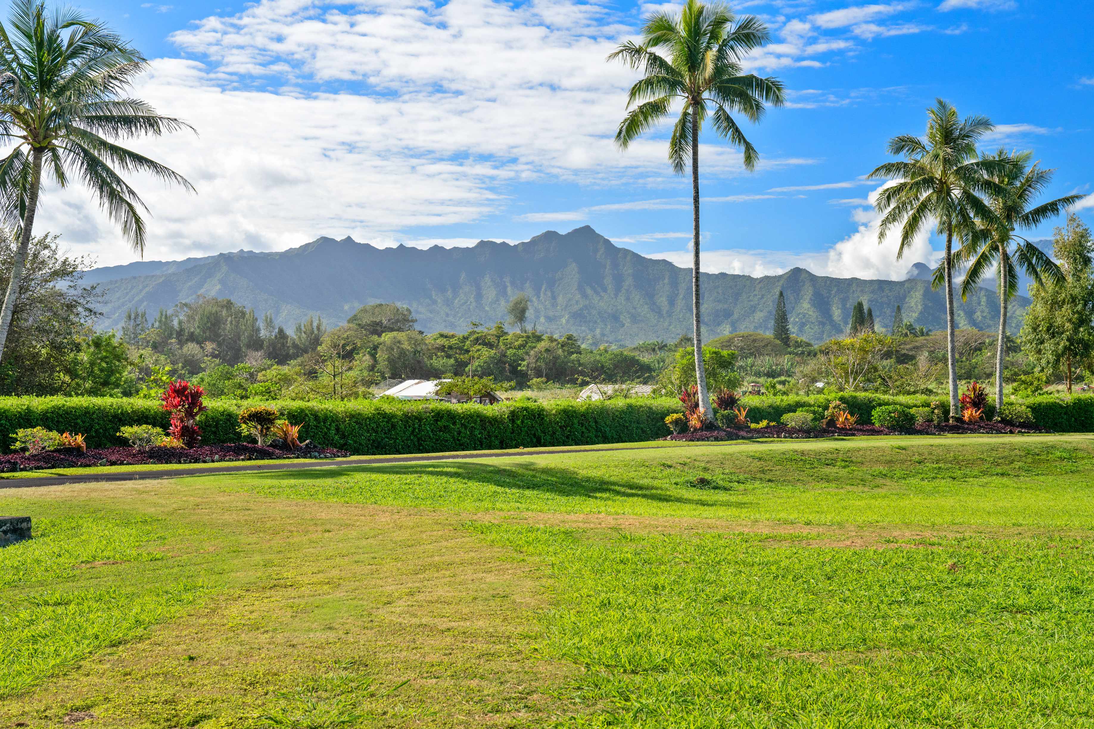 IWALANI LN ##5, Kilauea, HI 96754