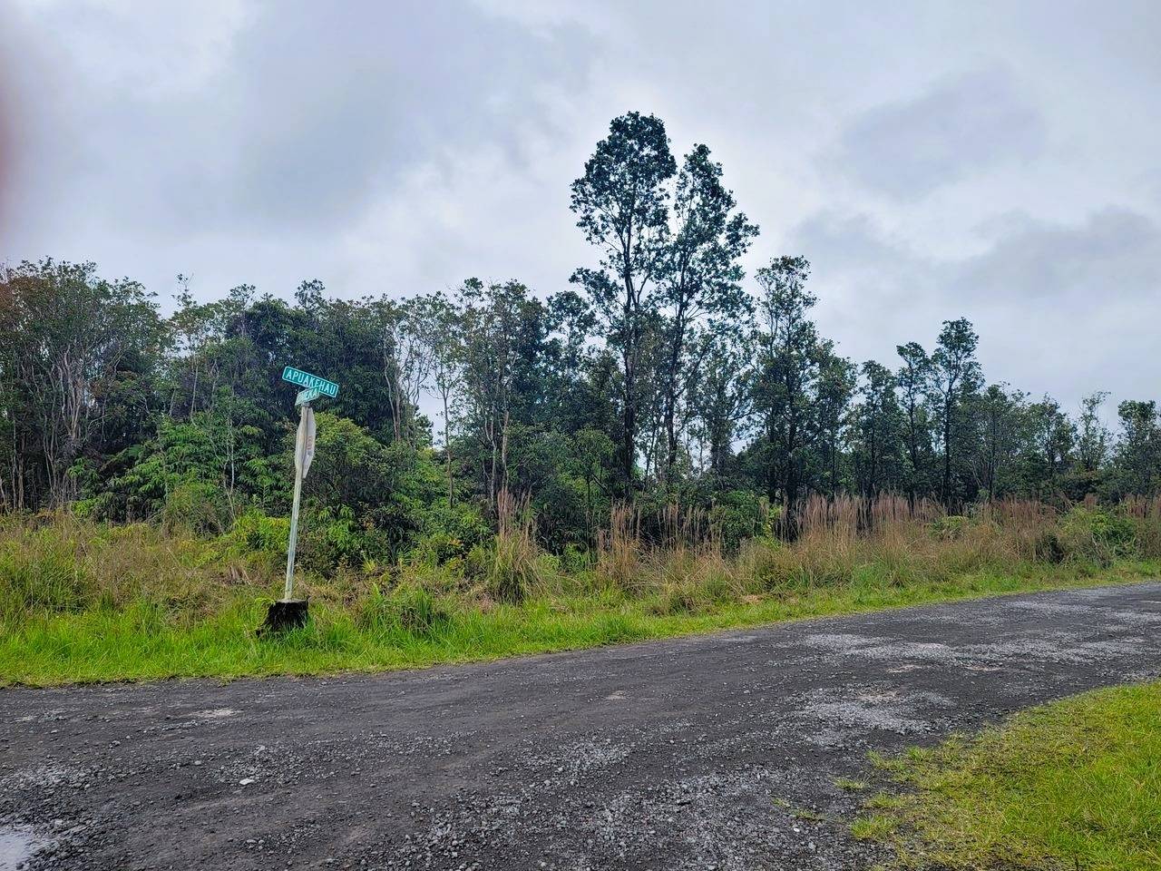 Volcano, HI 96785,APUAKEHAU RD