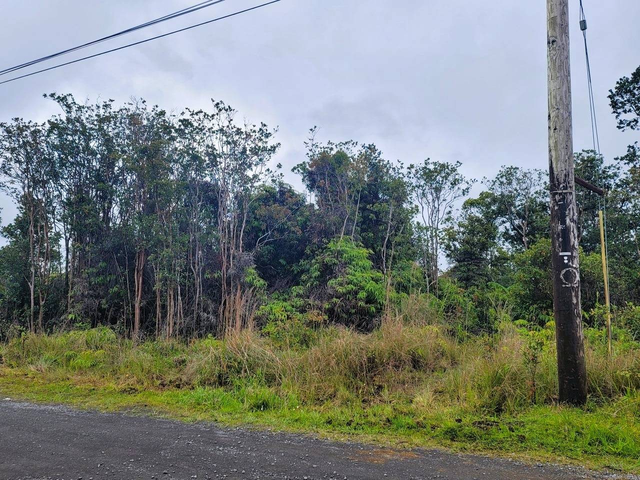 Volcano, HI 96785,APUAKEHAU RD