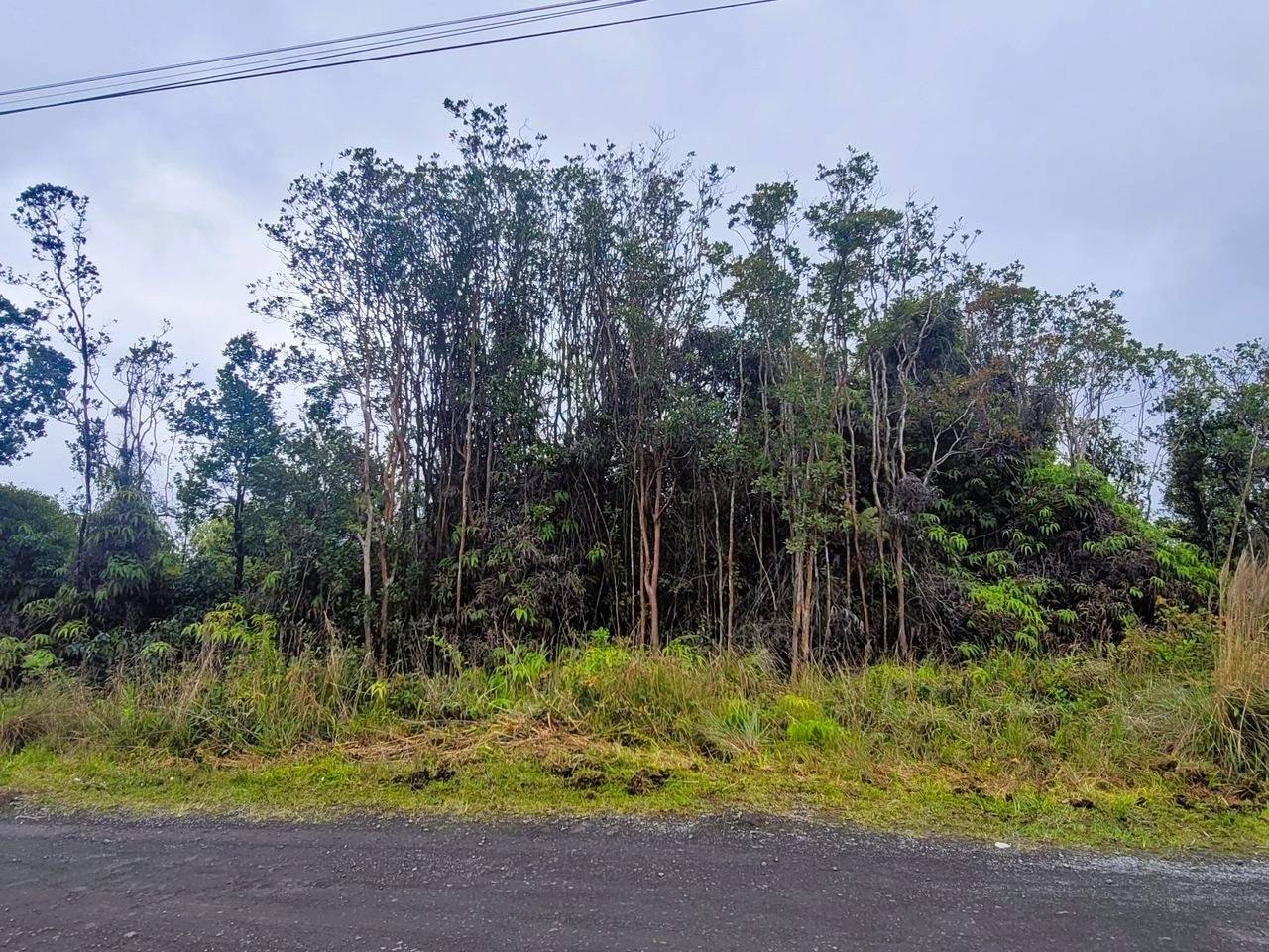 Volcano, HI 96785,APUAKEHAU RD