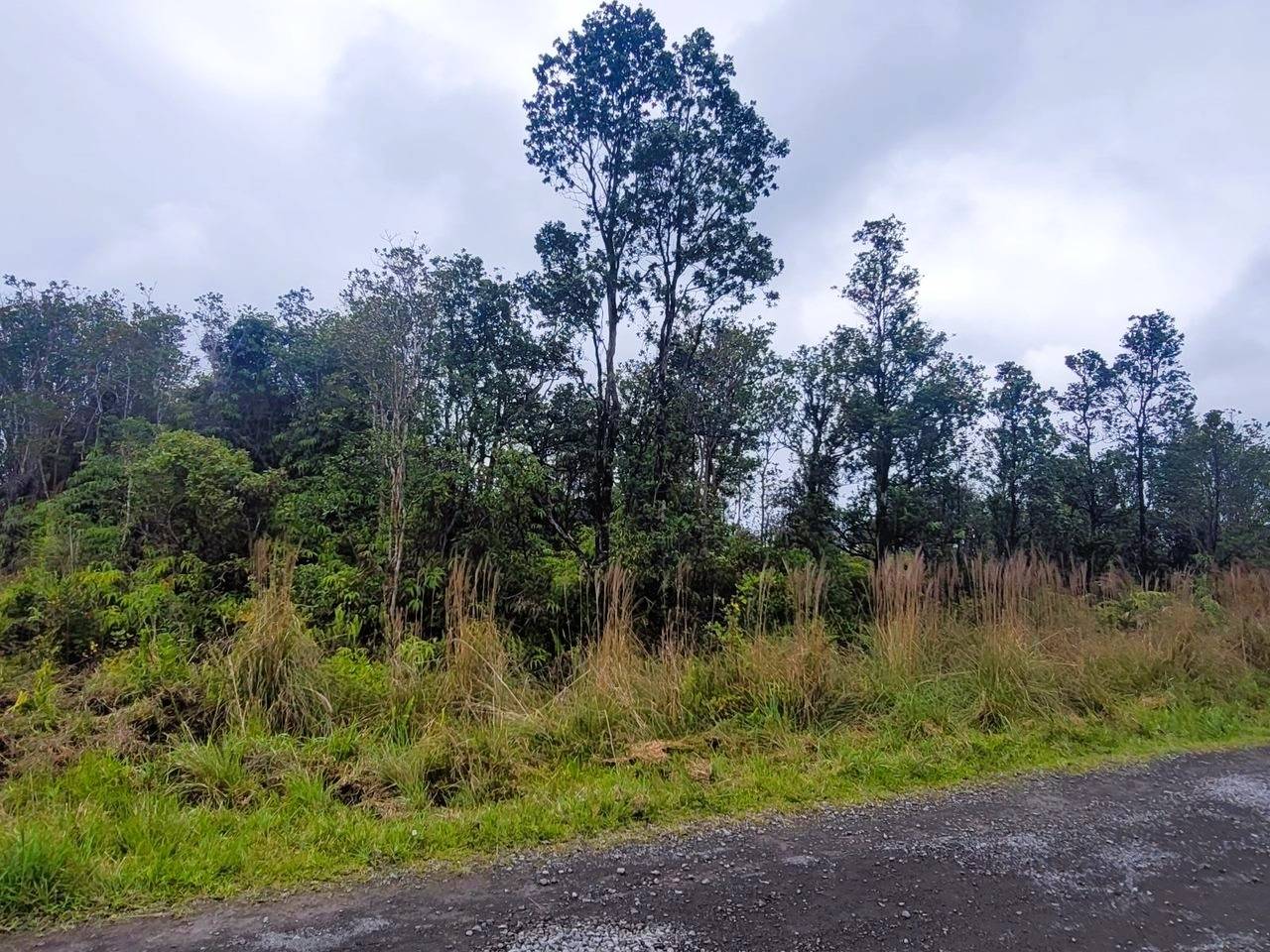 Volcano, HI 96785,APUAKEHAU RD