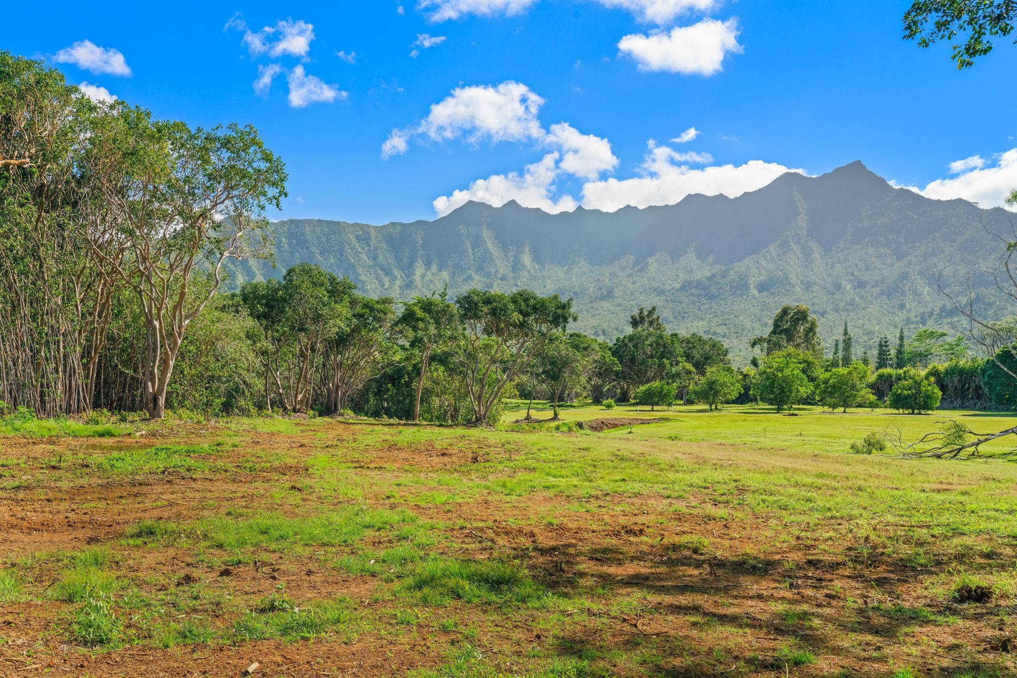 HALAULANI RD #5, Kilauea, HI 96754
