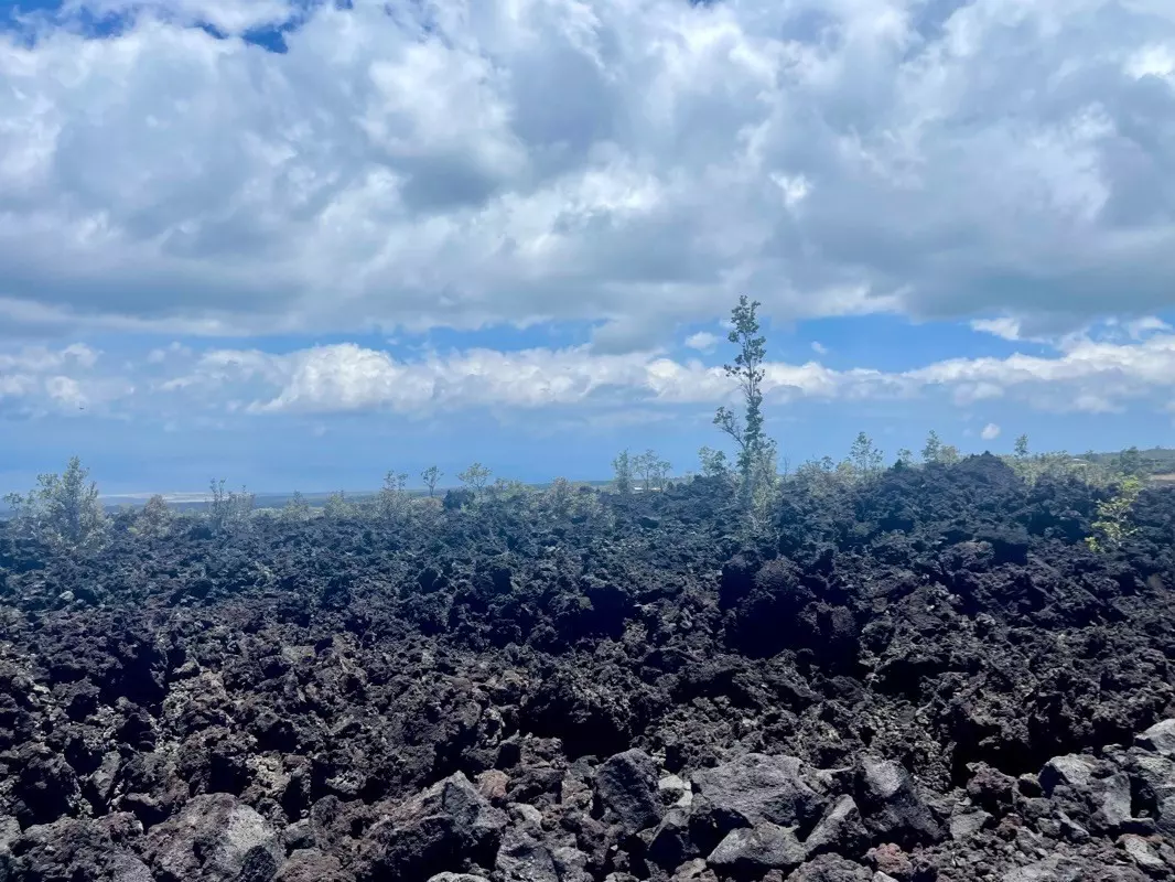 Ocean View, HI 96737,Lot 12 Lehua Ln