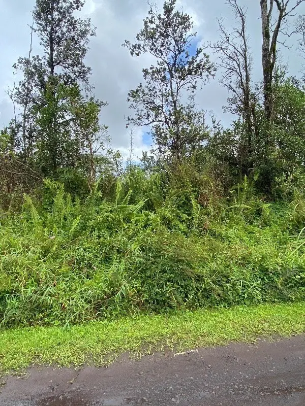 Kurtistown, HI 96760,39TH AVE