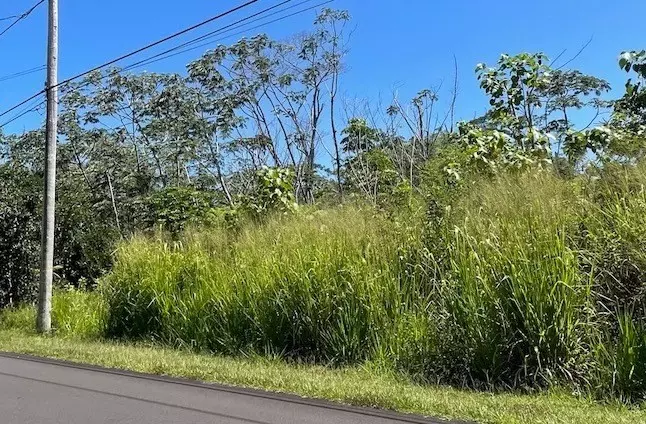 Pahoa, HI 96778,S MAIKOIKO ST