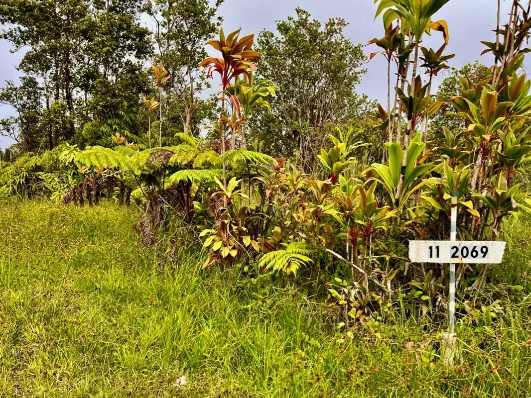 Volcano, HI 96785,11-2069 OMEKA RD
