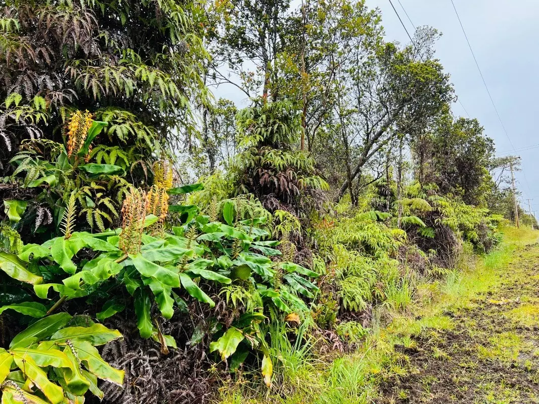 Volcano, HI 96785,11-3051 ANUHEA ST