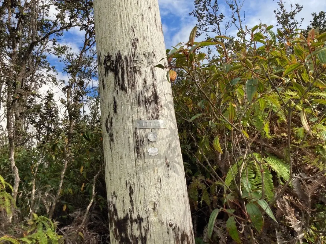 KALEPONI DR, Volcano, HI 96785