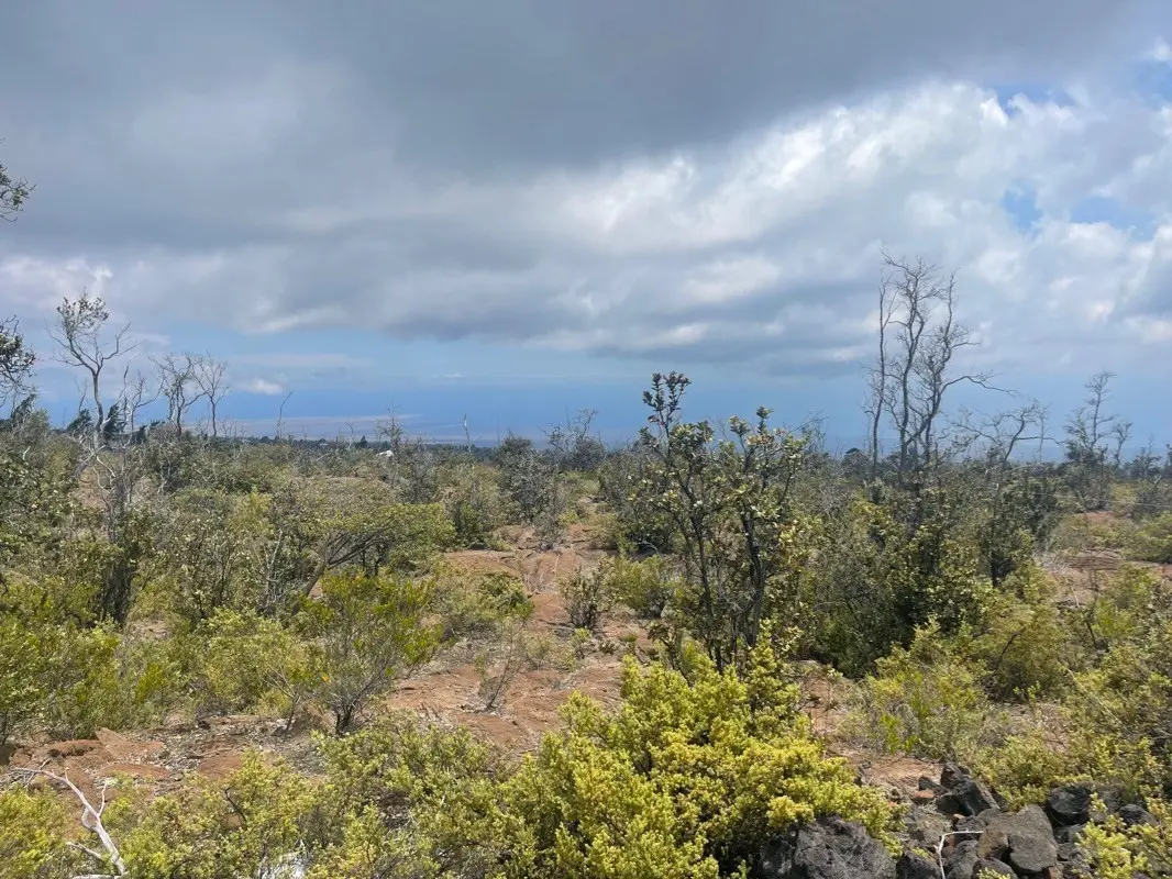 Ocean View, HI 96737,OCEAN VIEW PKWY