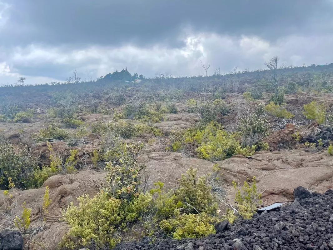 Ocean View, HI 96737,Lot 22 MARLIN BLVD