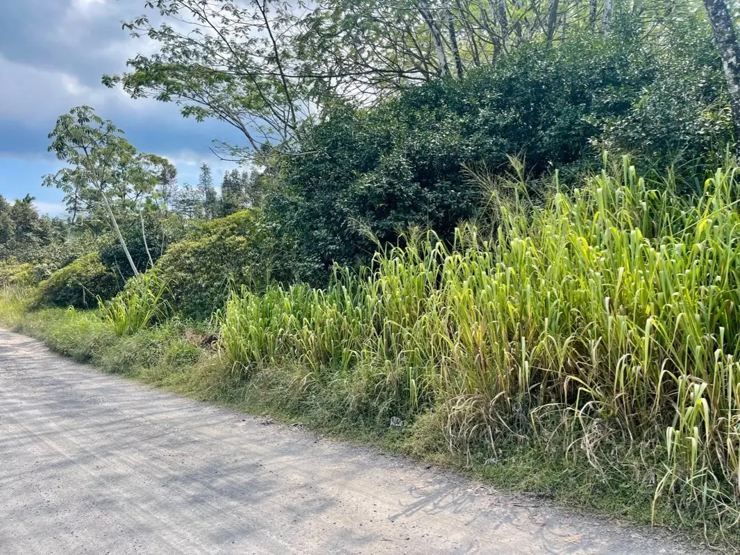 Keaau, HI 96749,24TH AVE (OHE)