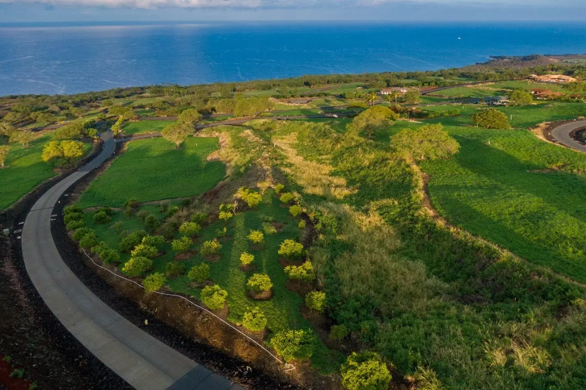 Captain Cook, HI 96750,81-497 PALENA PL