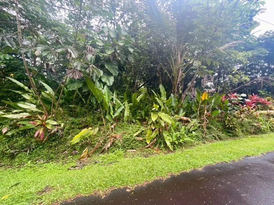 Pahoa, HI 96778,S Lot 797 LALAKEA ST