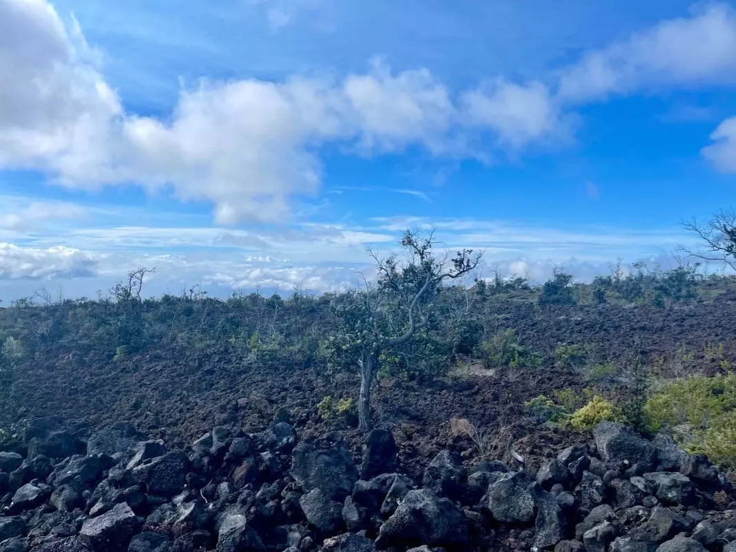 Ocean View, HI 96737,Lot 22 Marlin Blvd