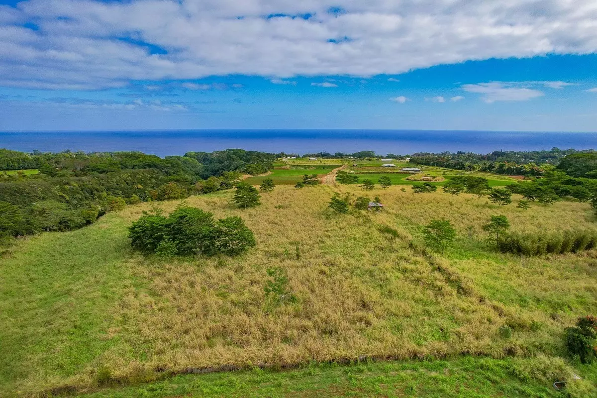 Honomu, HI 96728,KAHI NANI RD #PARCEL 40