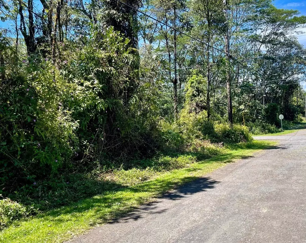 Pahoa, HI 96778,Lot 645 PAHOA RD
