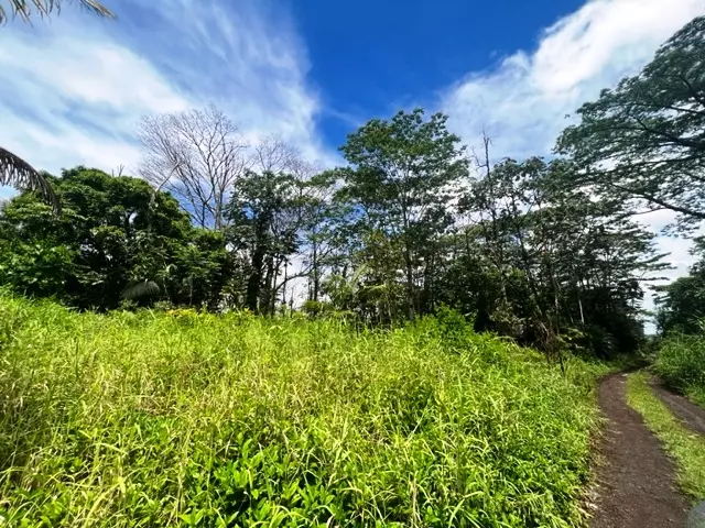 Kurtistown, HI 96760,KING KAMEHAMEHA BLVD