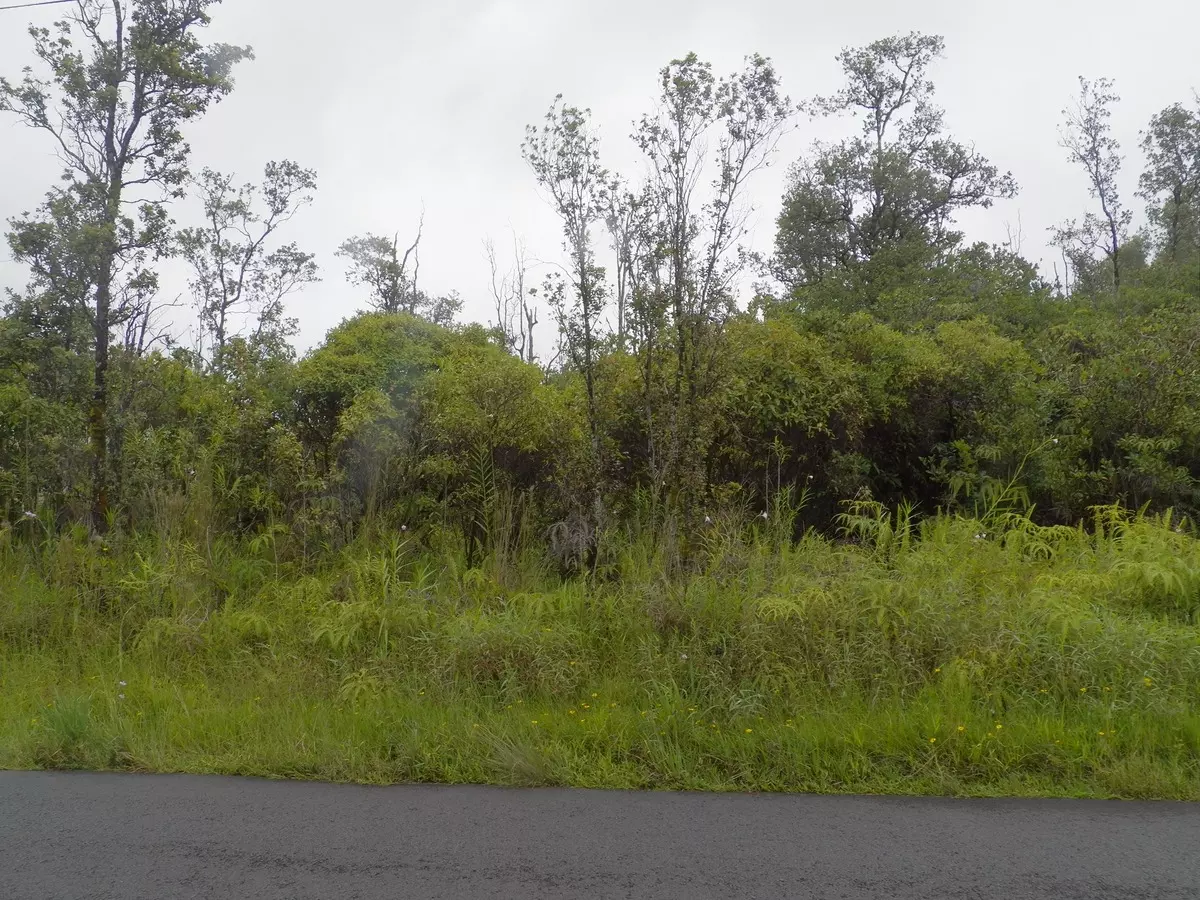 Kurtistown, HI 96760,POHAKU DR