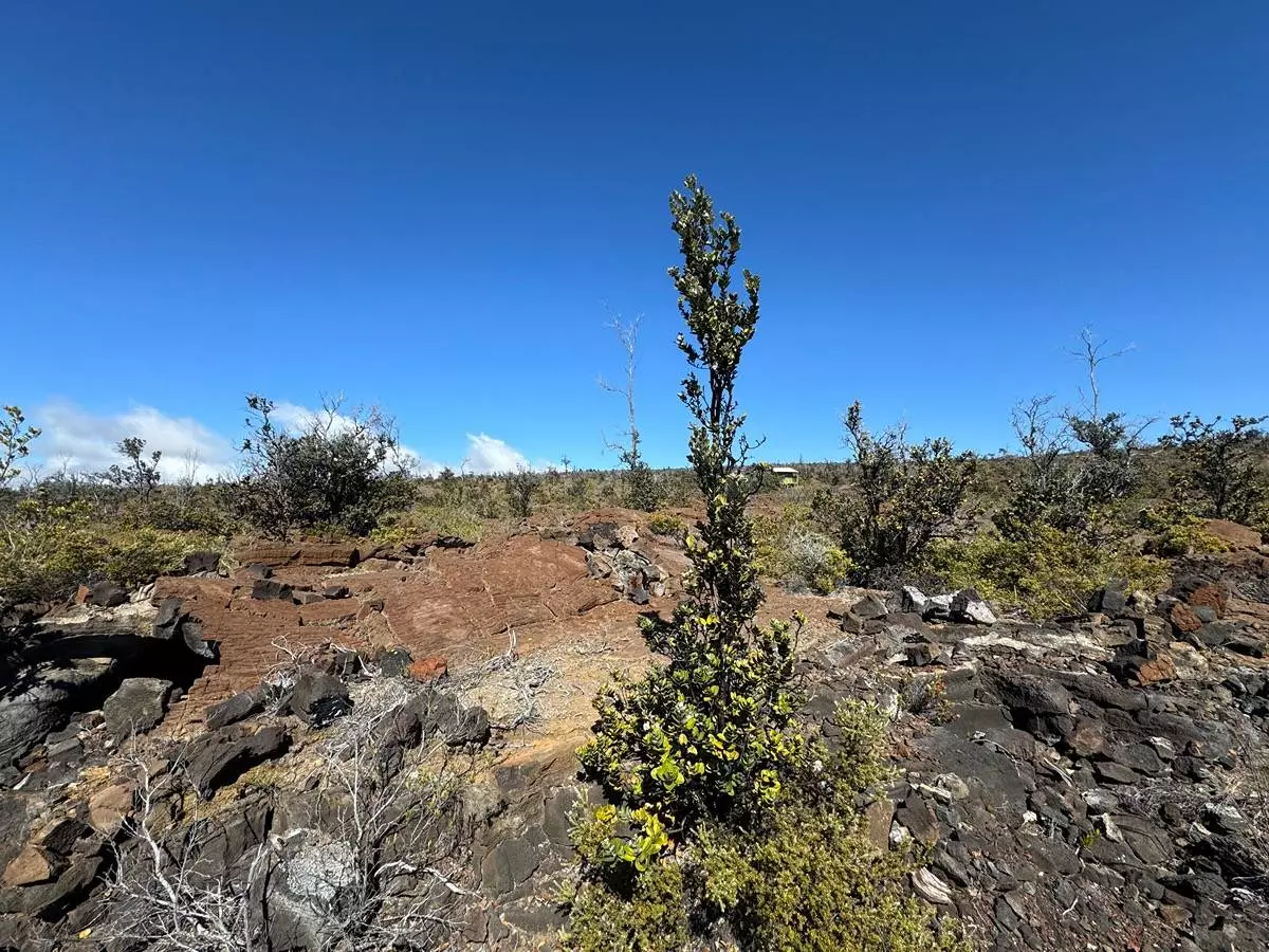 Ocean View, HI 96737,MAHIMAHI DR #LOT 33