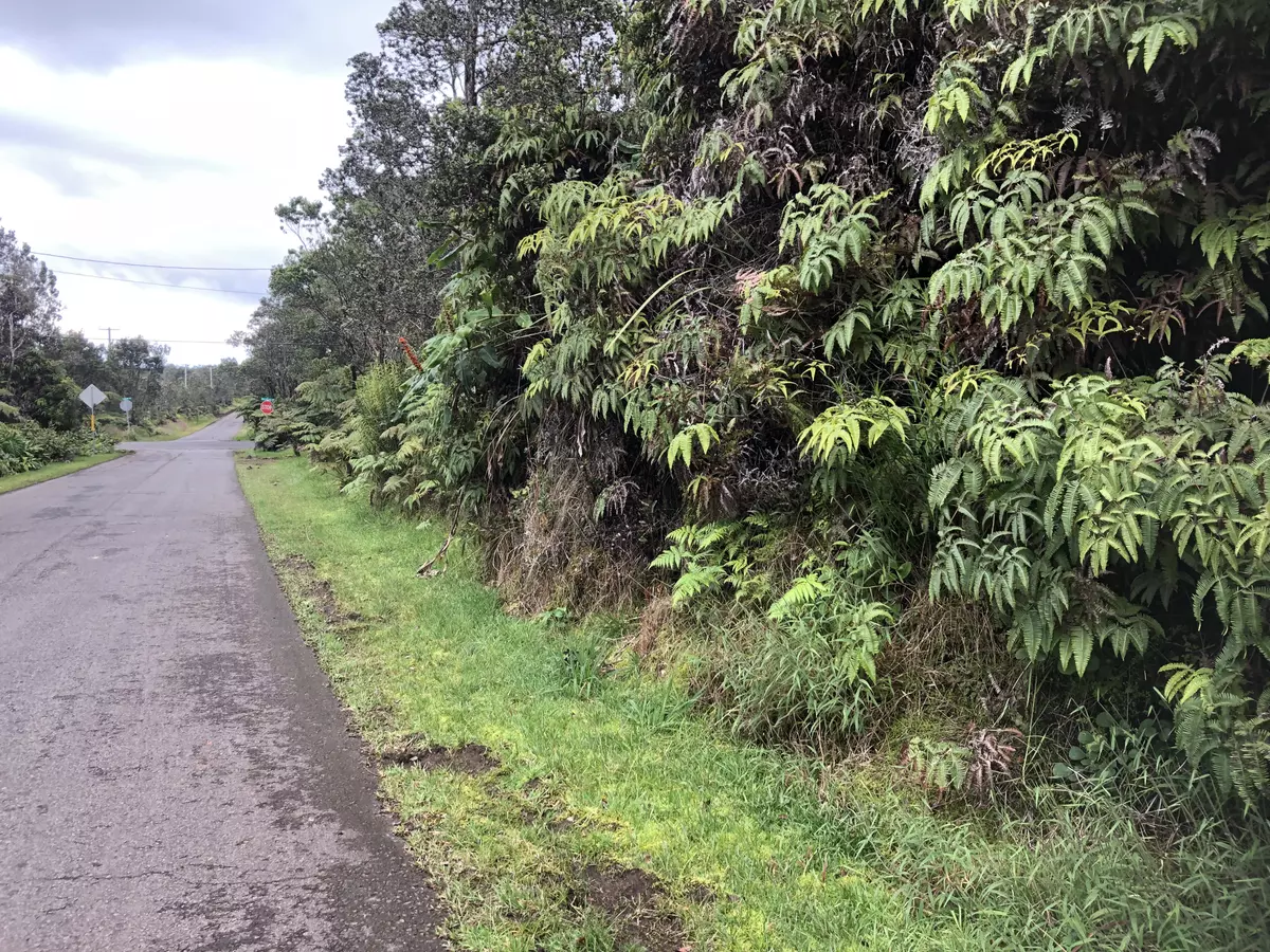 Volcano, HI 96785,11-3355 PA ALII ST