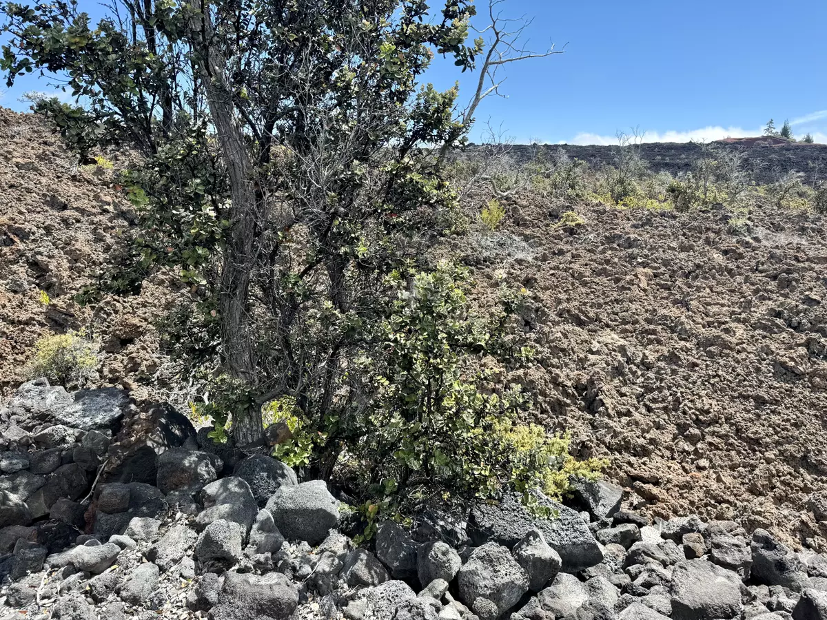 Ocean View, HI 96737,MARLIN BLVD