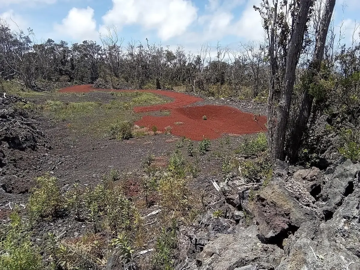 LEI PKWY, Ocean View, HI 96737