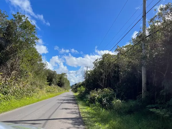 Volcano, HI 96785,18-4119 MAUNA KEA DR