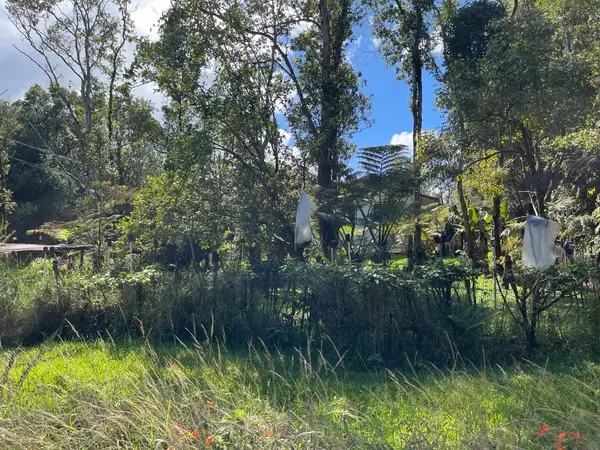 Volcano, HI 96785,18-4119 MAUNA KEA DR